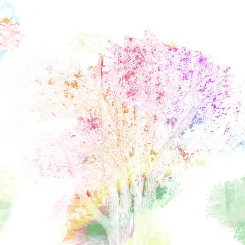 提供客服服務的專家洪妙甄