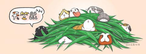 莊婷宇 - 2D_插圖_社團封面相片繪製
製作軟體：Photoshop