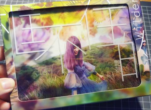 Annapeen Studio - 2018王艷薇「框不住的艷薇」專輯設計