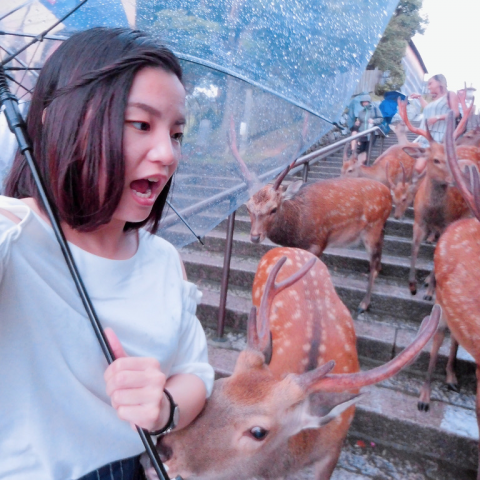 提供soho服務的專家Shiny's SOHO