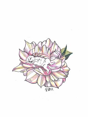 李衣芸 -  李衣芸 -