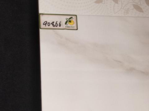 提供dreamer洗鞋服務的專家洗的專家