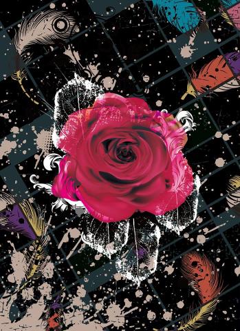 Cat Work - 平面設計作品-狂野玫瑰