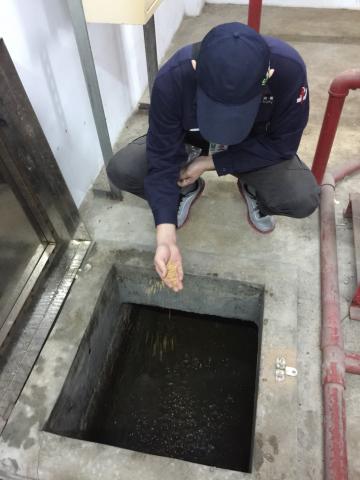 旭輝消毒 - 池區投藥