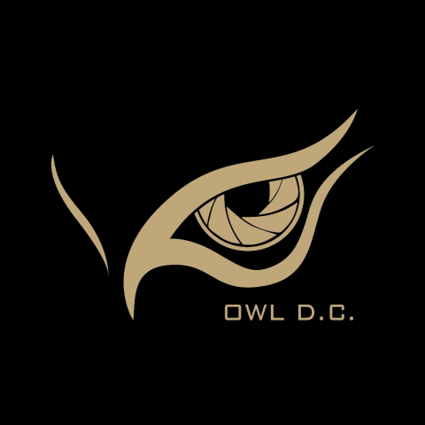 提供odoo介紹服務的專家貓頭鷹數位傳播公司