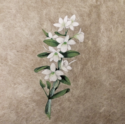 古川設計工作室 - 普洱茶磚&mdash;提案001