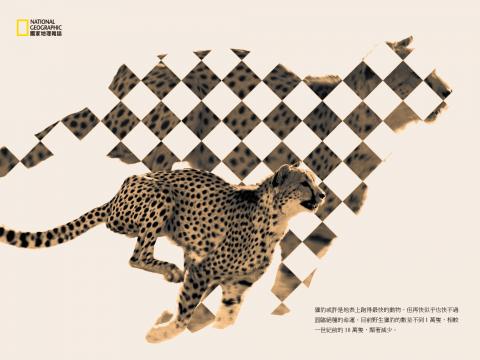 徐小姐 - 雜誌內頁試作