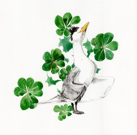 ty.HSU - /作品/
黑嘴端鳳頭燕鷗/ 神話之鳥
Thalasseus bernsteini

針筆/水彩