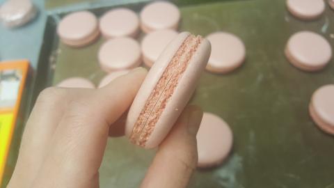 Rebecca  - 馬卡龍