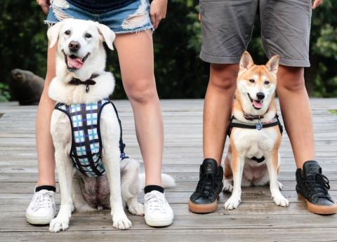 九月四日影像工作室 - 