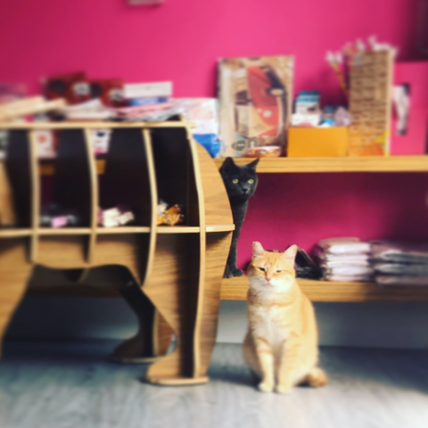 伊可傢俬設計 - 