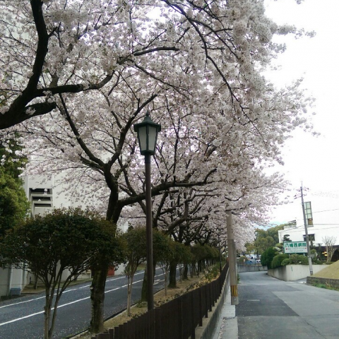提供120服務的專家吳秉耘