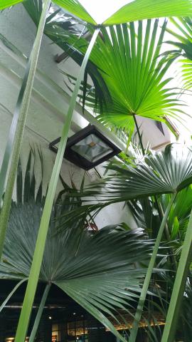 凱圳 - 室外-防水照明燈。