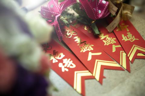 ZY  STUDIO -  ZY  STUDIO -