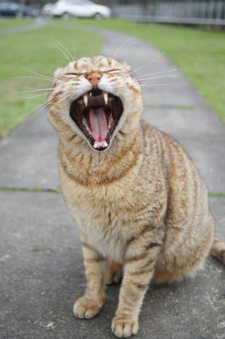 許庭安 - 個人攝影圖集