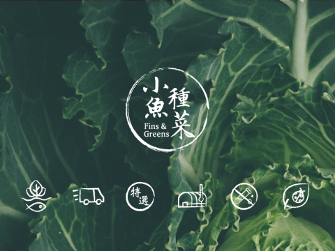 Catherina Tsai - logo設計