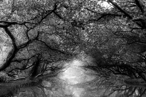 藍斯洛 影像創作 -  藍斯洛 影像創作 -