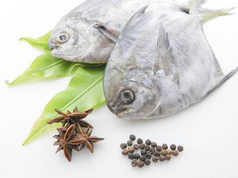 Mr.By個人設計工作室 - 靜物攝影-海鮮