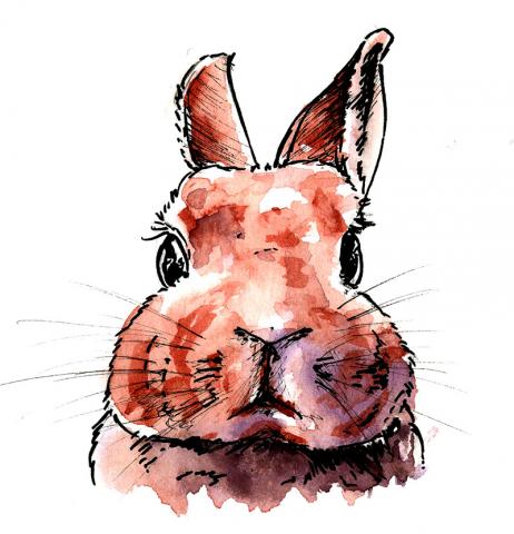 SHARRON - 麥克筆技法