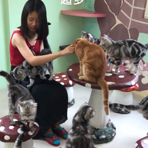 提供dance168學費服務的專家陳湘涵