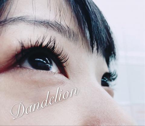 Dandelion 蒲公英時尚美學工作室 - 