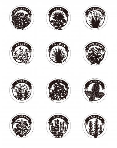 林子鈞 - 12星座印章設計