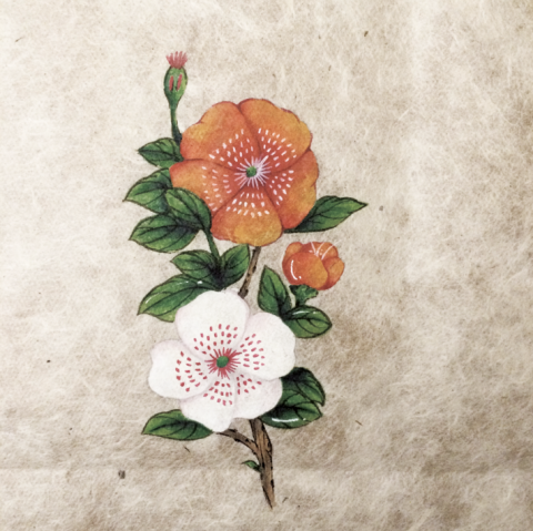 古川設計工作室 - 普洱茶磚&mdash;提案004