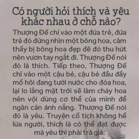 提供越南名字服務的專家蔡氏秋海