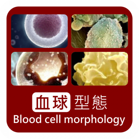 詹勝富 - 血球型態網站APP化,https://play.google.com/store/apps/details?id=com.gmail.ad8.spencer.Bloodcellmorphology&hl=zh-TW