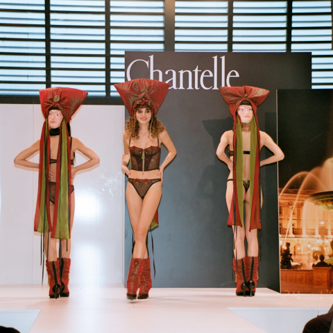 大鼻子詹姆仕的新視界 - 