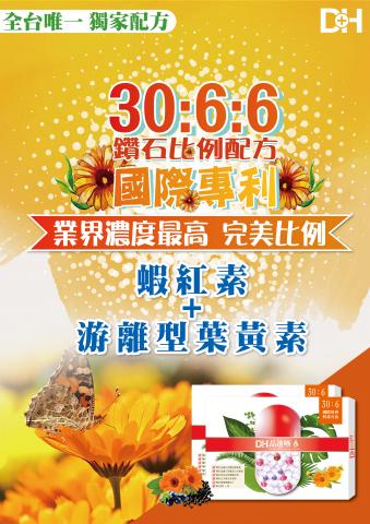 林玹緹 - 一系列的網路EDM設計編排-1