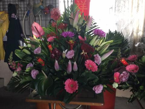 第一花店 - 水盤花