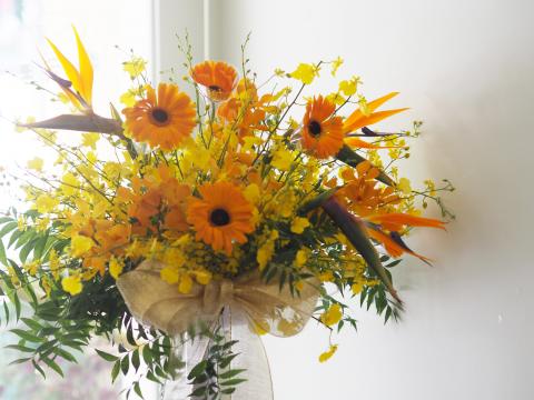 Urban Botany 莪本設計有限公司 - 泰統集團 Eggs'nThings 微風松高 開幕活動大型花禮設計