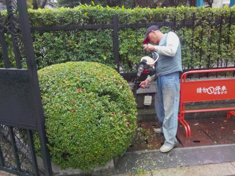 台元造景有限公司 - 