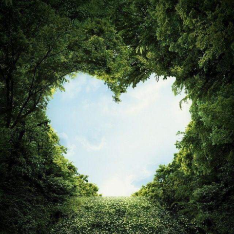 提供代辦服務的專家鄭蕙婉