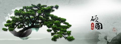 Shih - 碩園盆景 BANNER