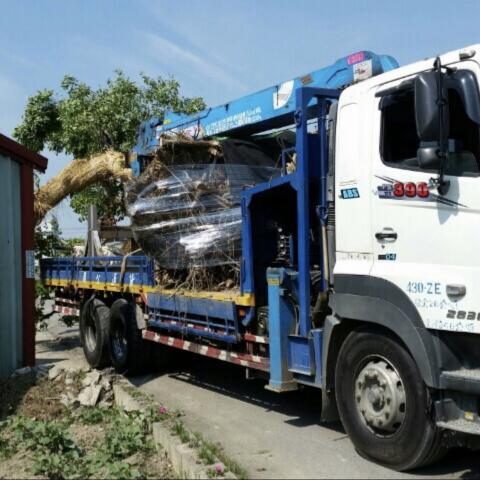 林晁廷 - 26T配備7頓吊桿,載重10頓