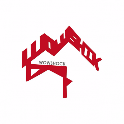 提供受眾包服務的專家瓦下文創工作室 WowShock Workshop