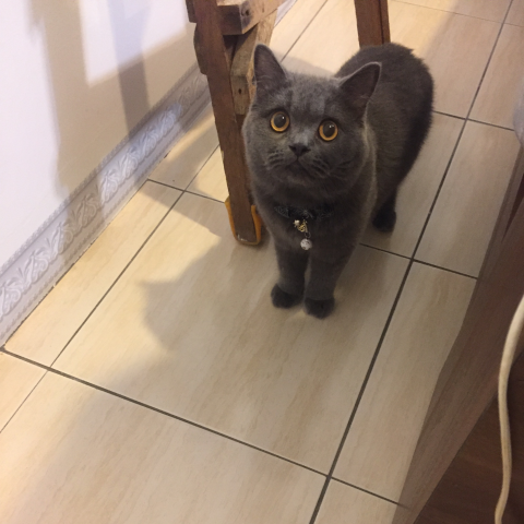 提供ikea收納盒布服務的專家時尚頑布布