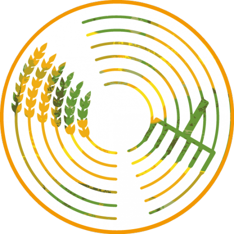 kayamushroom - 品牌logo設計