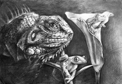 余岱昇 - 望向光明