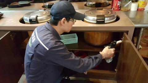 旭輝消毒 - 蟑螂防治