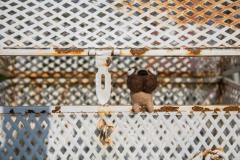 荒島有鹿影像工作室 - 羊毛氈情境照-6