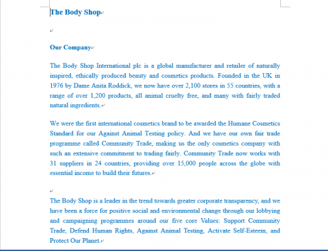 Tince Tsang - 公司簡介理念闡述(英翻中