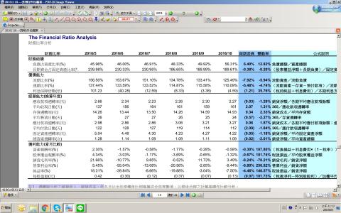 Gigi - 財務比率分析