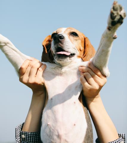 九月四日影像工作室 - 