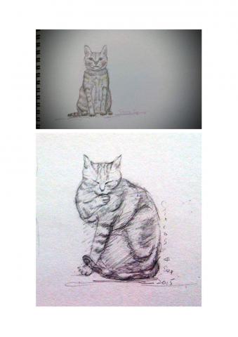 賴英倫 (珮瑩 Aining Art Studio) - 工作室作品-貓咪插畫