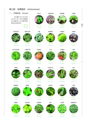 Nathanizelin - 文字排版 | 頁面