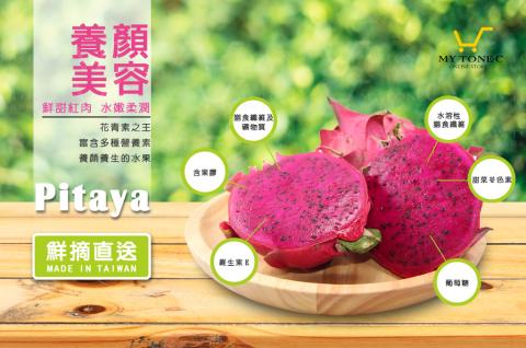 蒝帟綻有限公司 - 紅龍果EDM設計