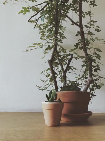 張雅閔 - 商品攝影